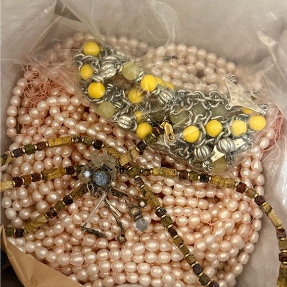 Ivy - Picture 13 of 15